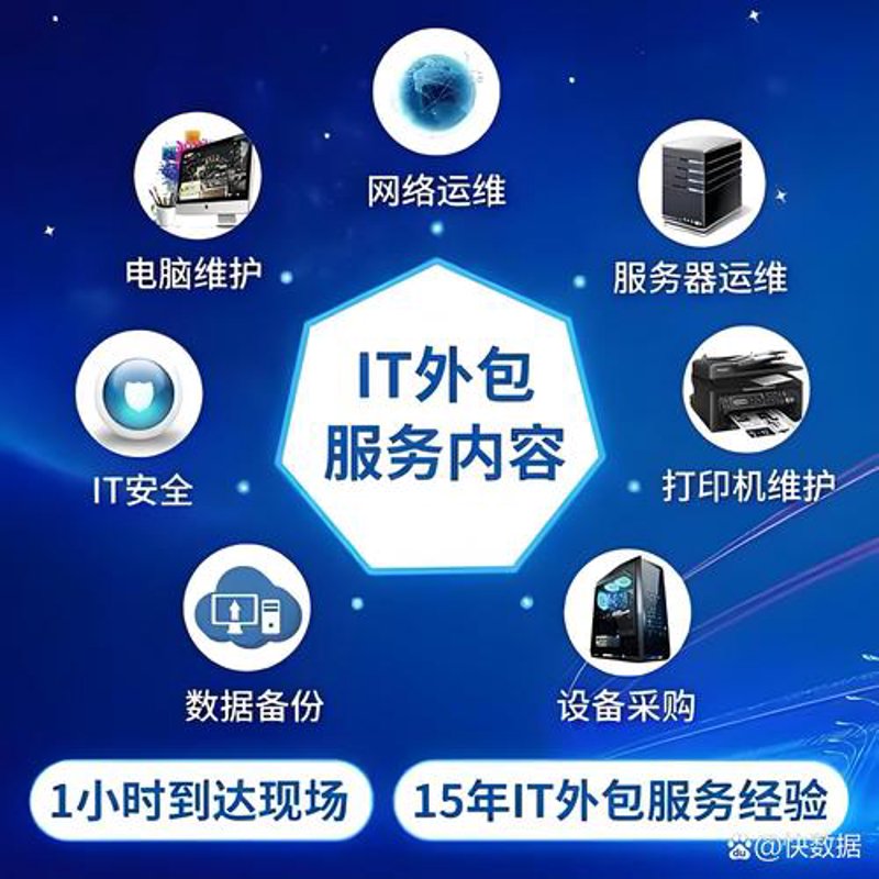 成都软件开发公司的案例分析：构建高效数字解决方案